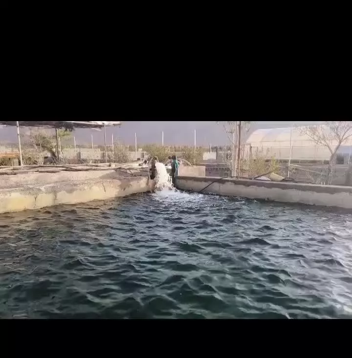 5500 متر باغ و گلخانه