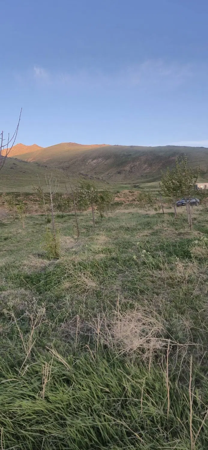 فروش باغ ۱۵۰۰متری روستای سرسبزگوشلان