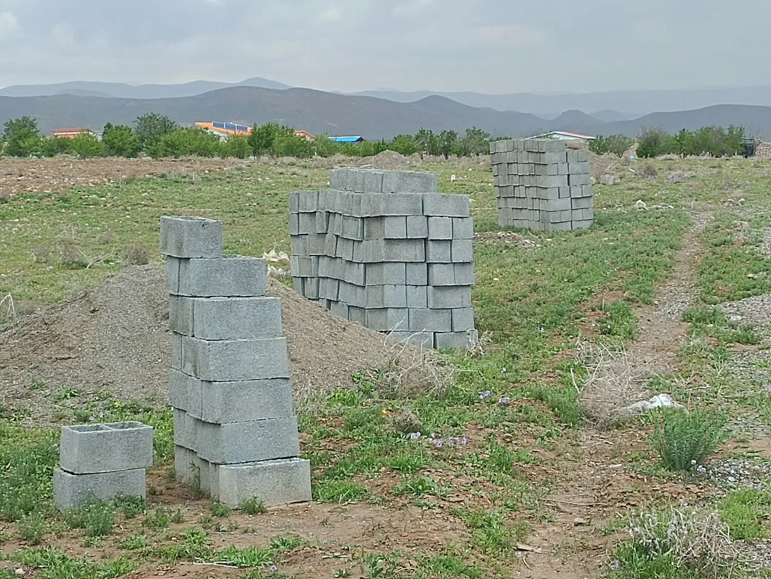 زمین ویلایی ۱۶۵۰متر برآسفالت در صوفیان قابل تهاتر