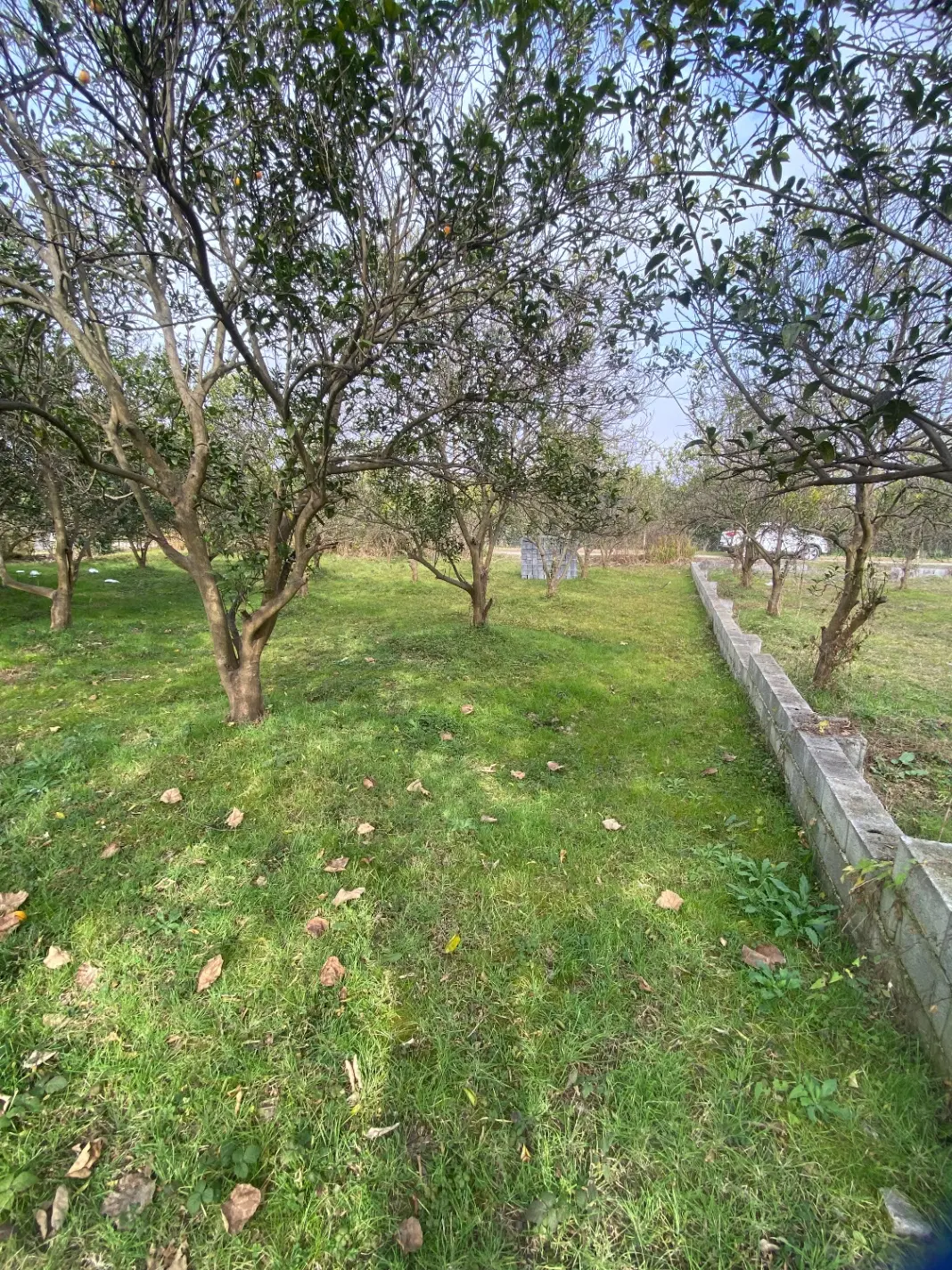 فروش زمین مسکونی