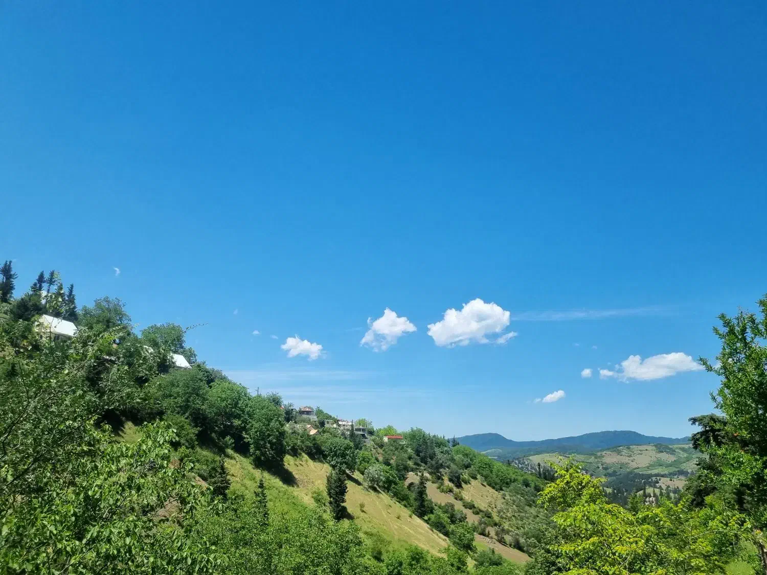 زمین مسکونی باغی ۵۰۰۰ متری کلسفزوش