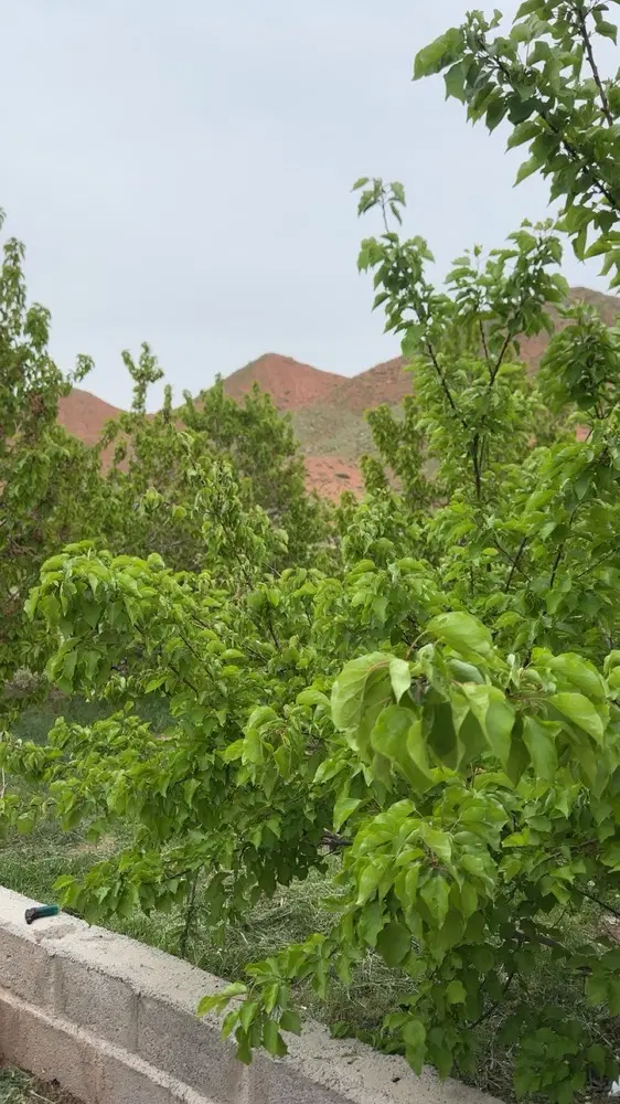 باغرود روستای رود
