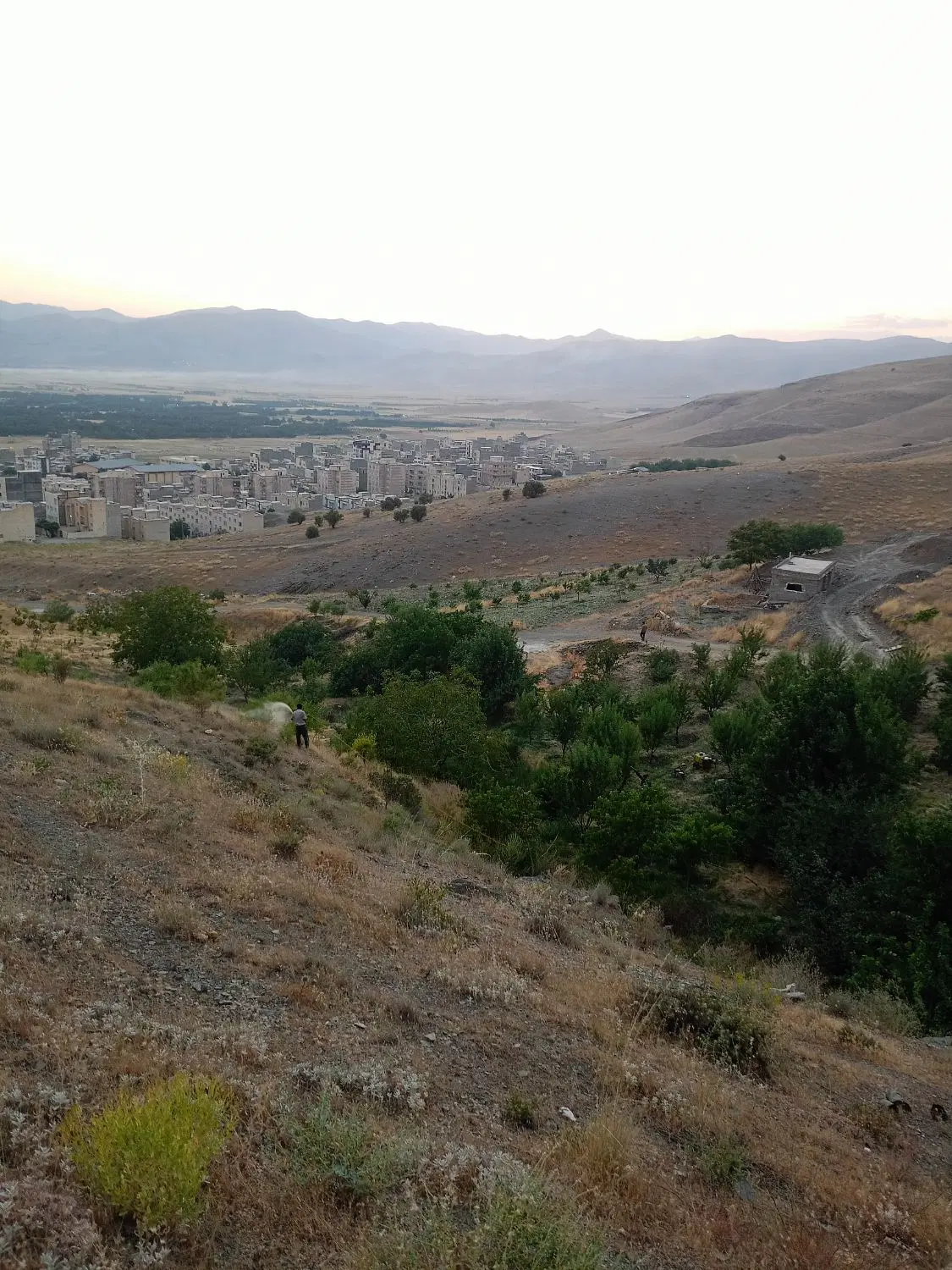 فروش باغ در شهرک سید احمد