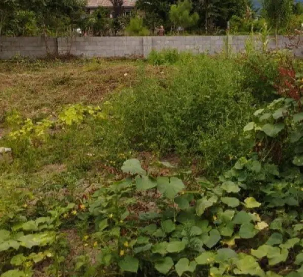 فروش زمین مسکونی مناسب سرمایه گذاری