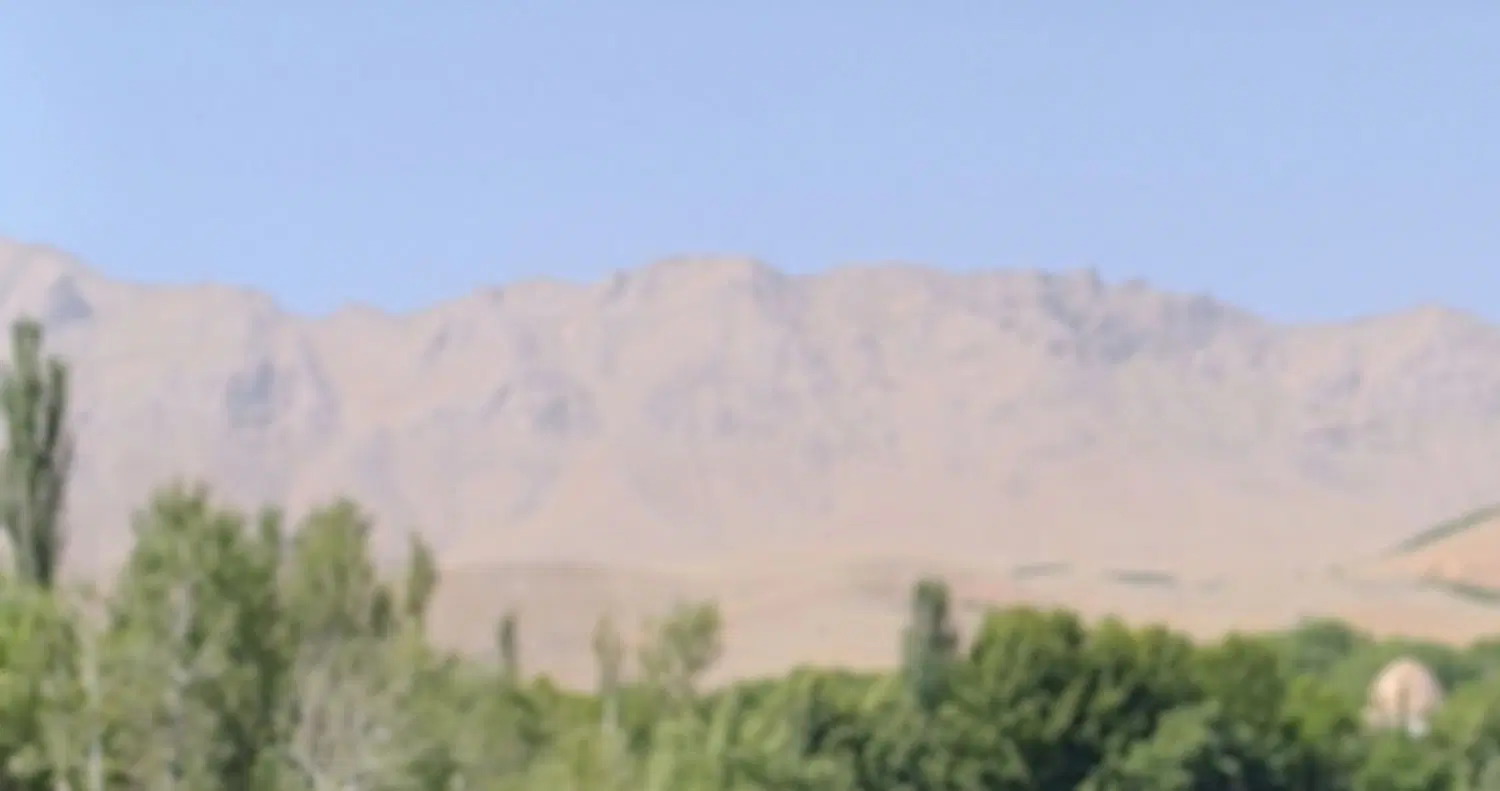 زمین کشاورزی