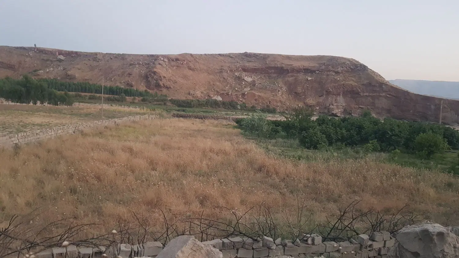 زمین کشاورزی و باغ