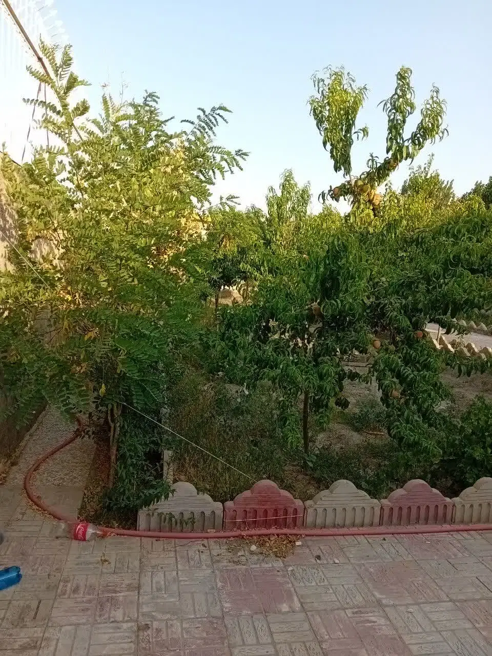 باغ ویلا
