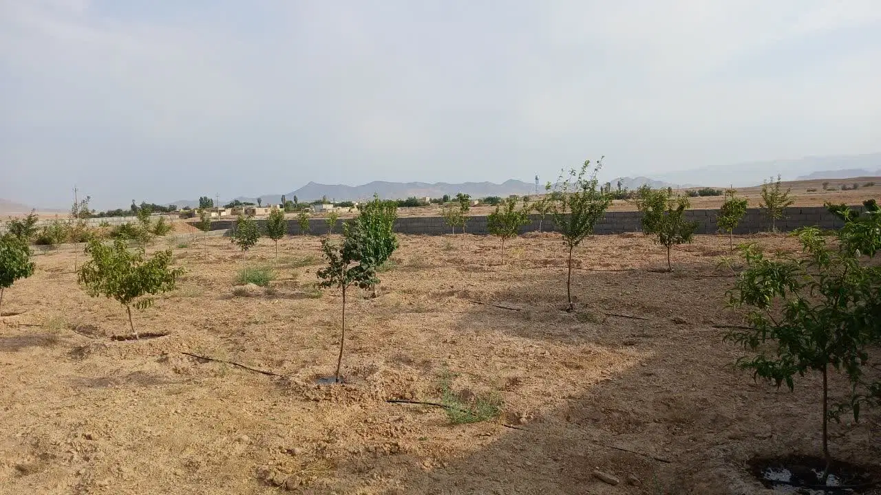 زمین باغی مناسب سرمایه گذاری