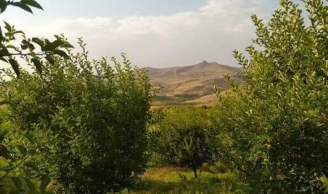 باغ در اهر