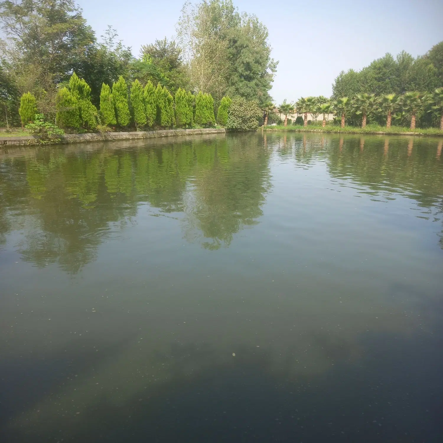 زمین_زمین مسکونی_کردان _کردان شمالی