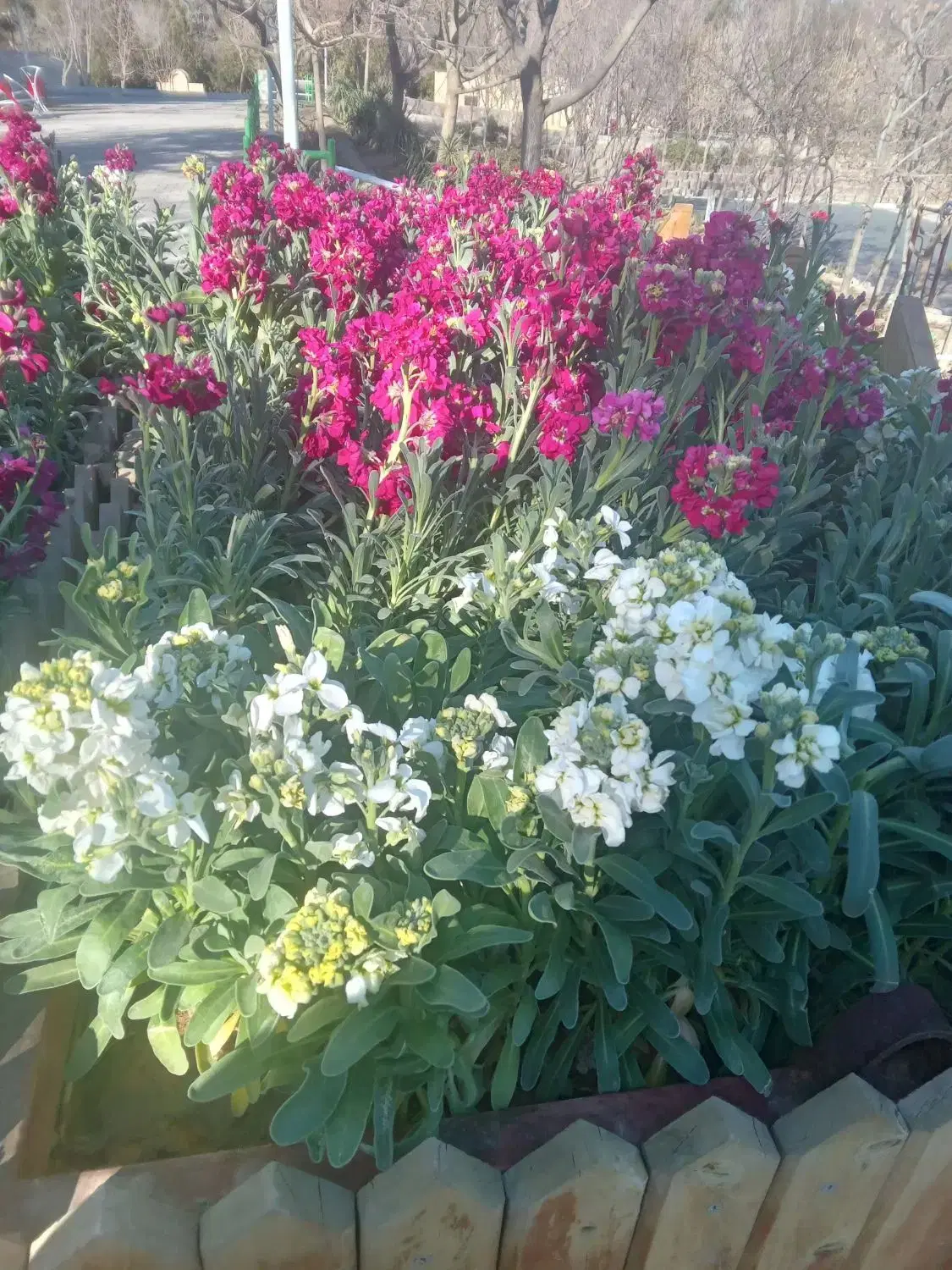 باغ فروشی