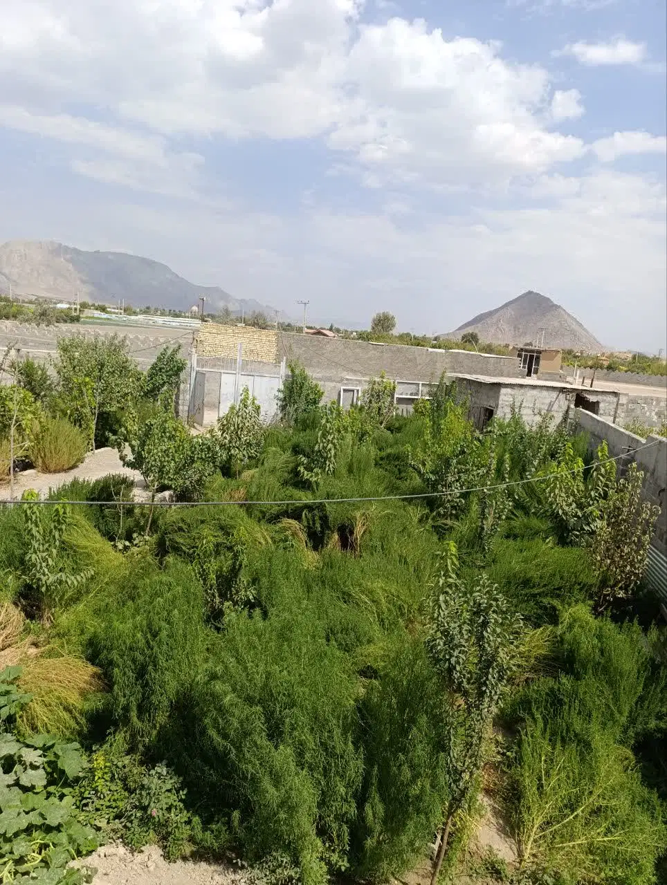 باغ خوش قباره