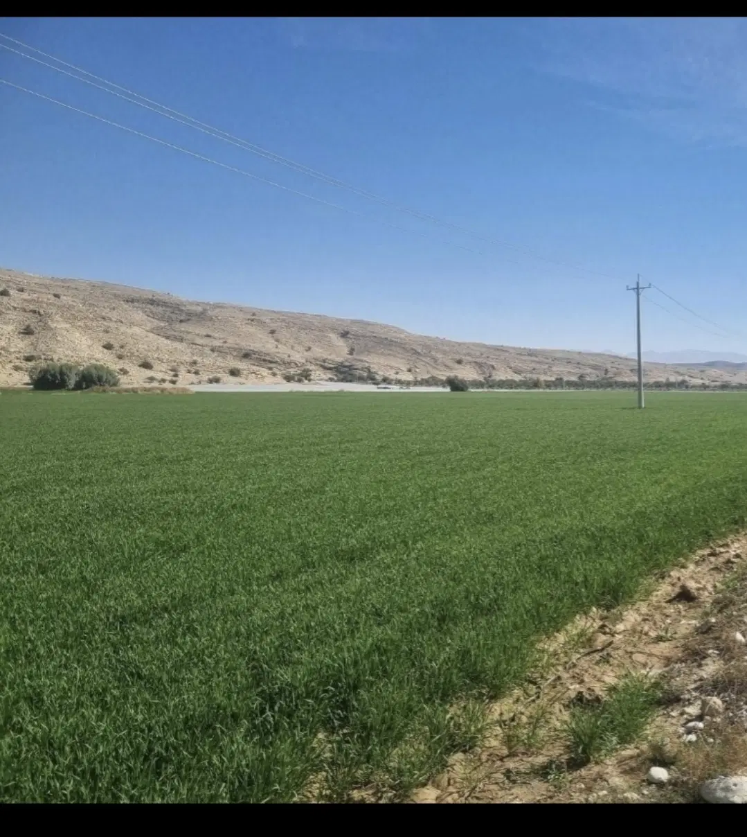فروش زمین کشاورزی ۳۰ هکتار
