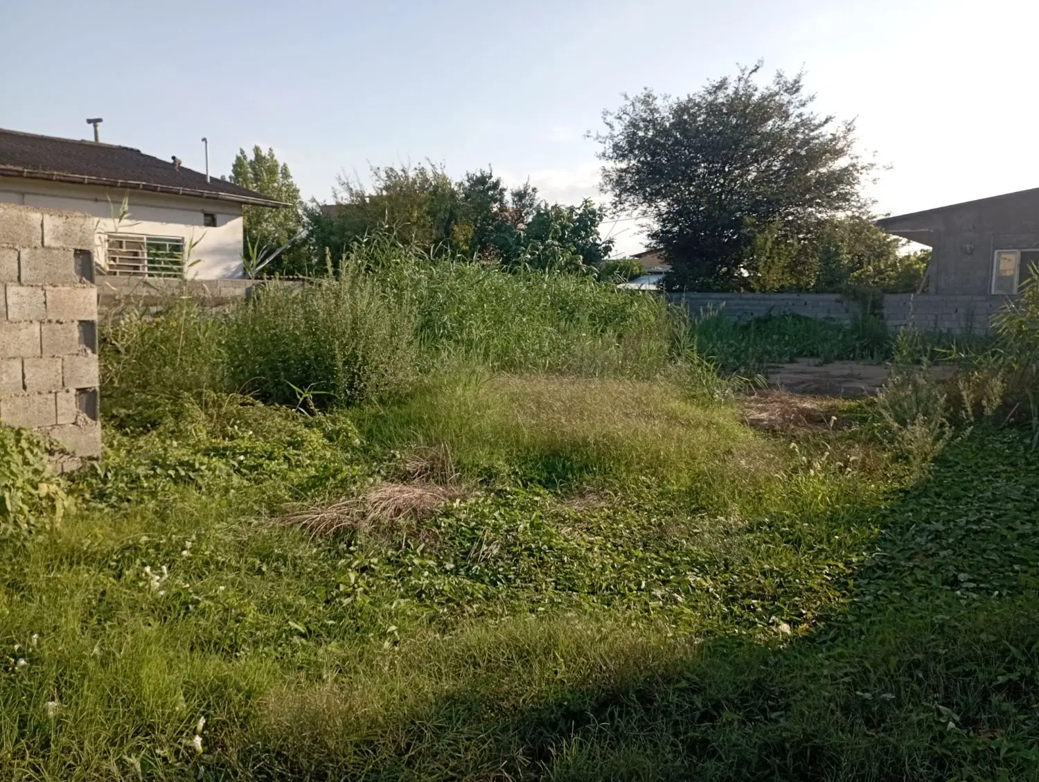زمین مسکونی