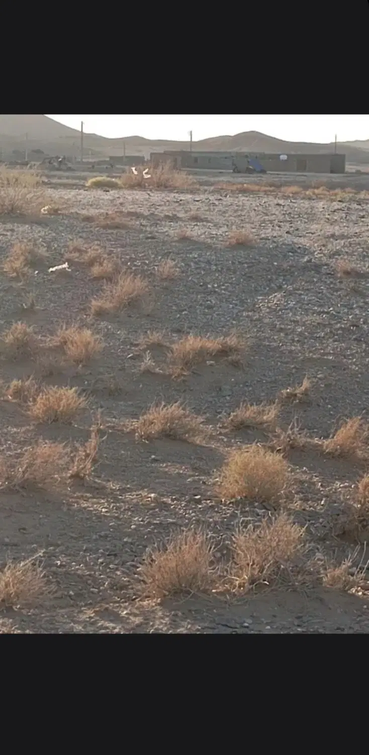 زمین چشمه زیارت