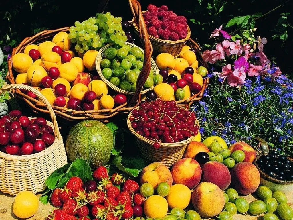 باغ با آب چاه عمیق