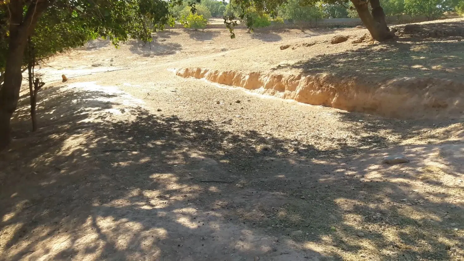 زمین