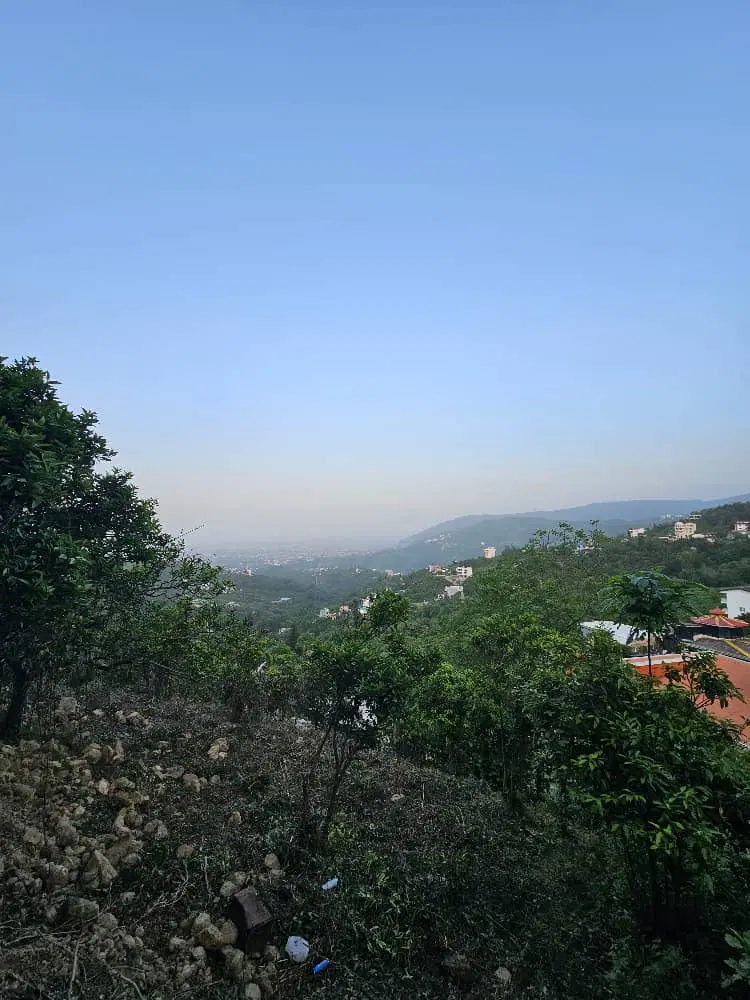 زمین مسکونی اربه کله، رامسر