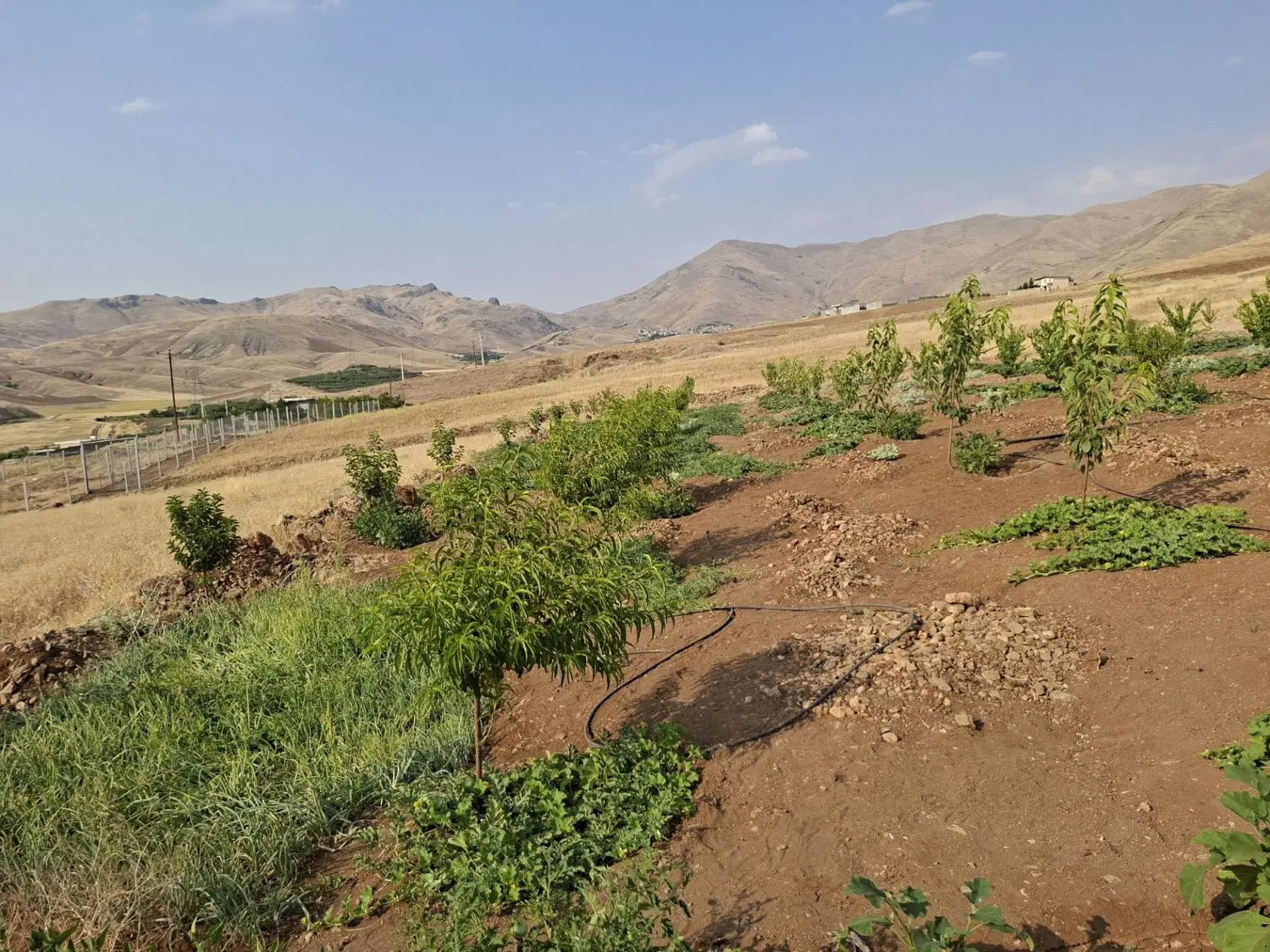 زمین خلیچیان