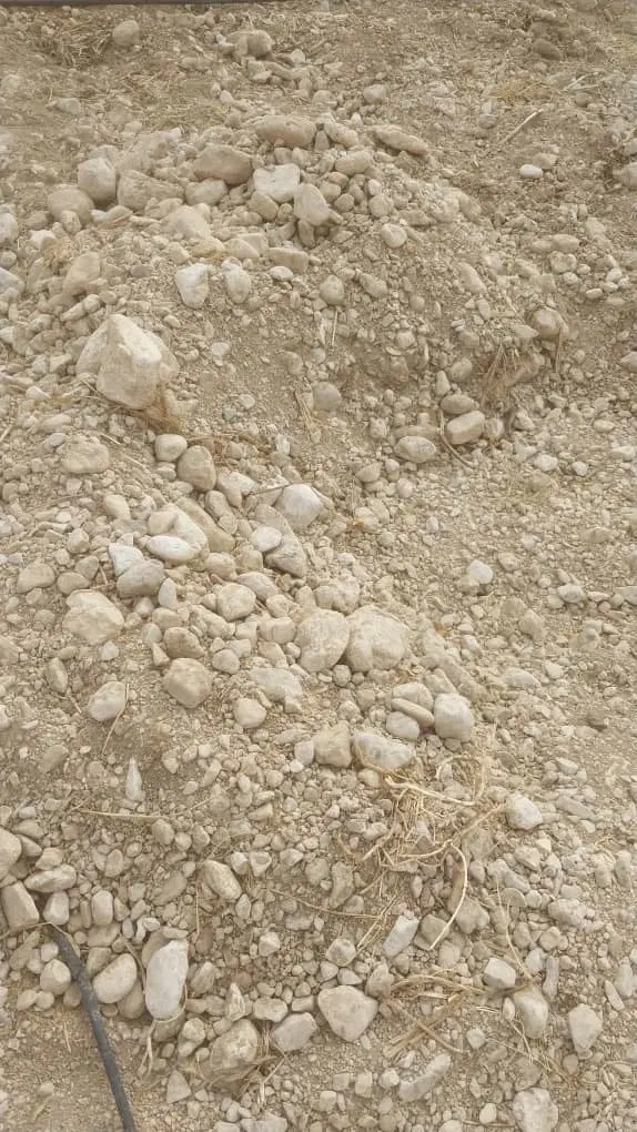 زمین آنتیک تجاری بلوار مدرس غربی.بر بلوارامام علی