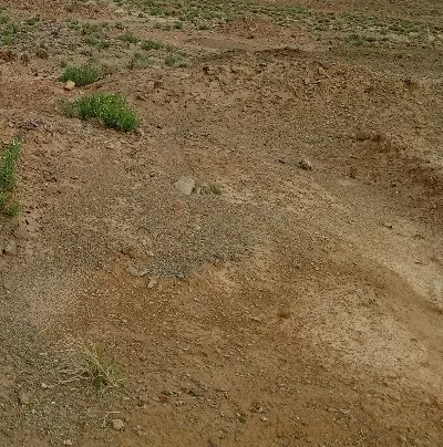 زمین حاجی آباد پوگی
