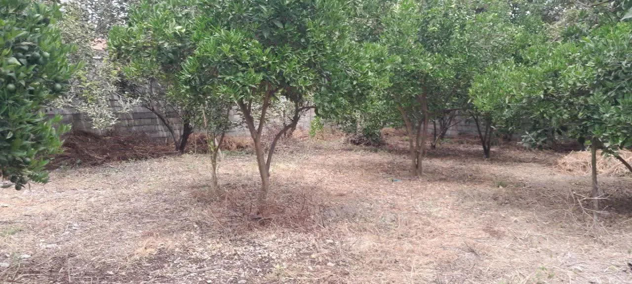 زمین ۳۰۸ متری روستای جعفرآباد سند تکبرگ مسکونی