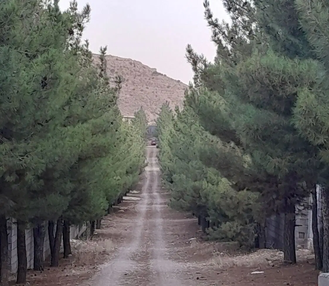 فروش باغ شهر در پردیس تپه سبز پزشکان دوکوهک