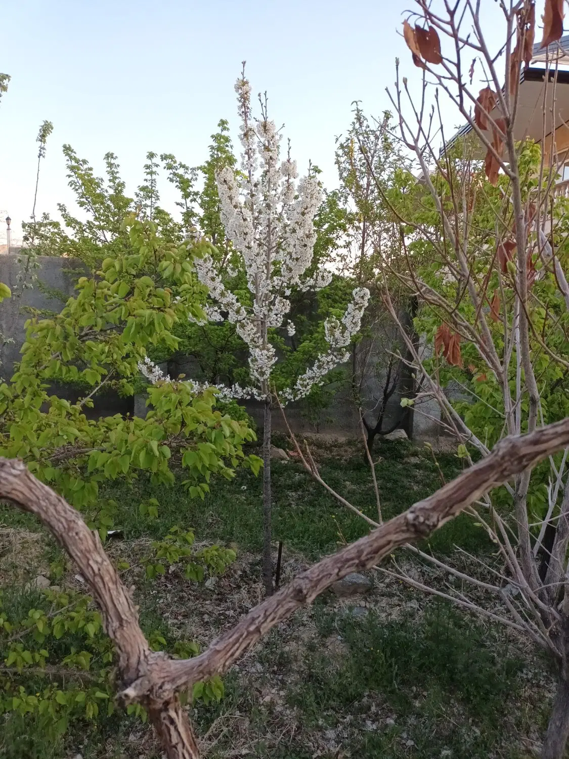 نظم اباد زمین ۳۰۰ متری