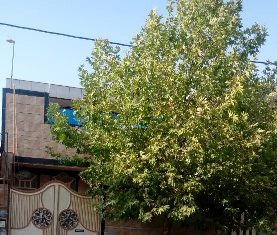 طبقه بالا گلدشت شرقی رنگین کمان