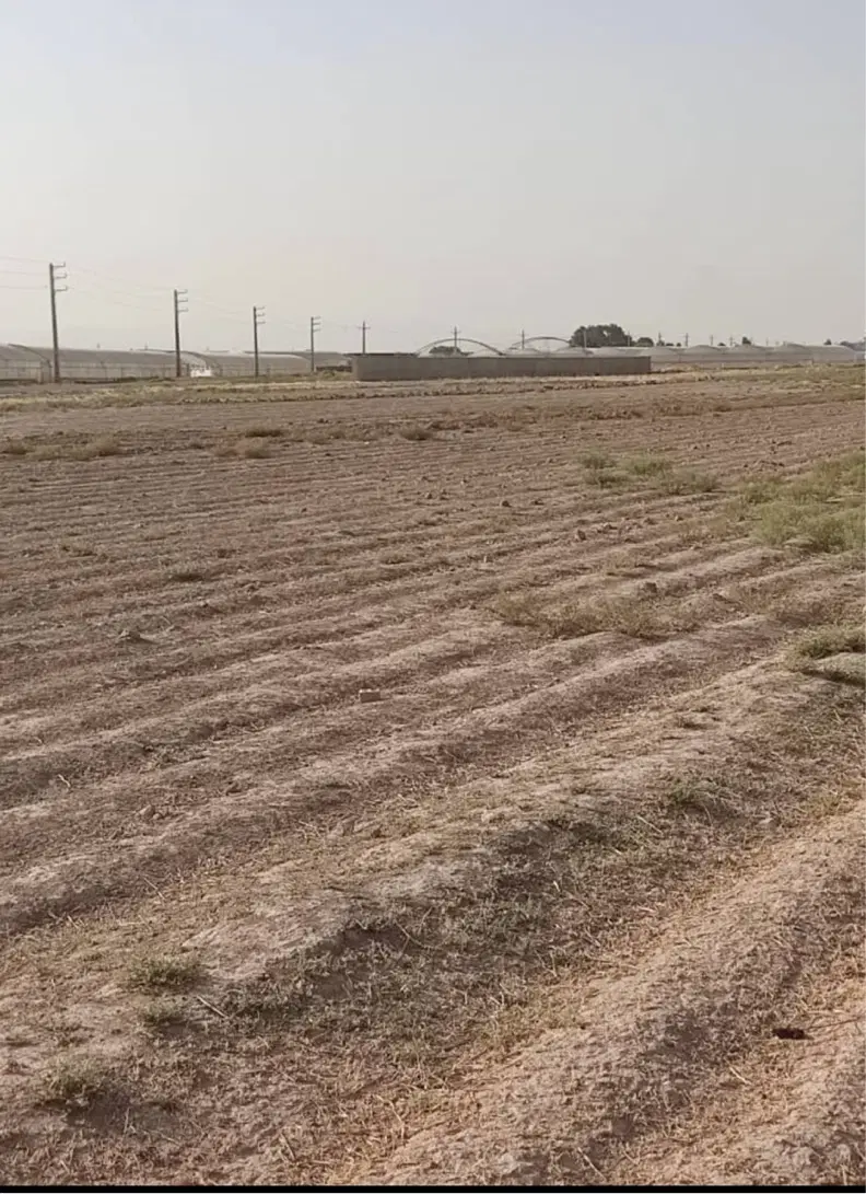 ۳۰۰۰ متر زمین با سند