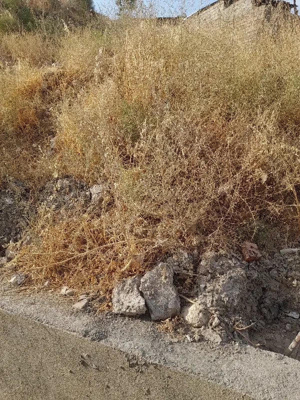 زمین مسکونی