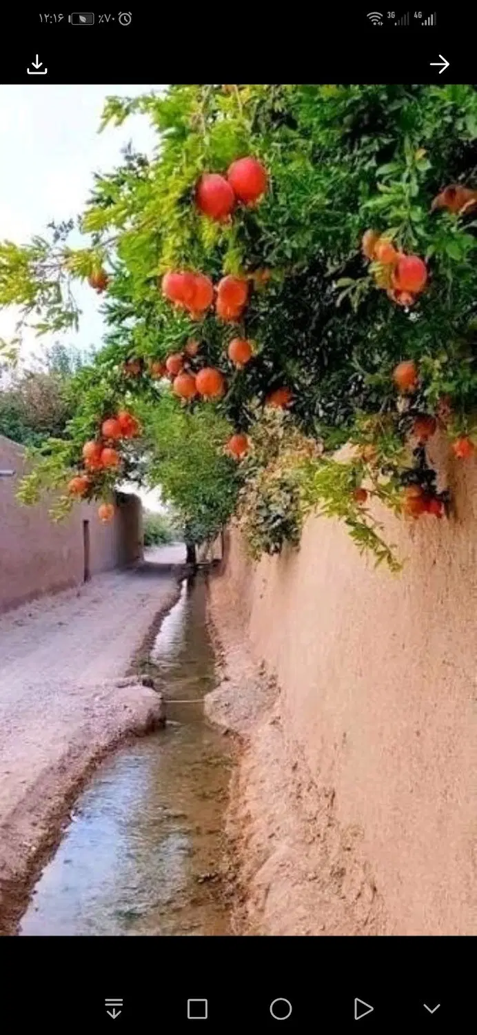 ویلایی مستقل حاشیه خیابان