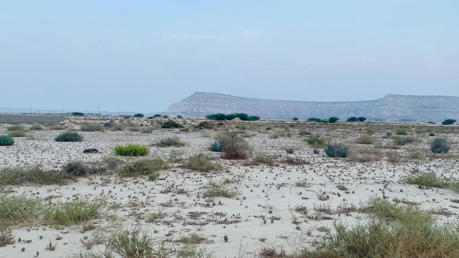 زمین مسکونی