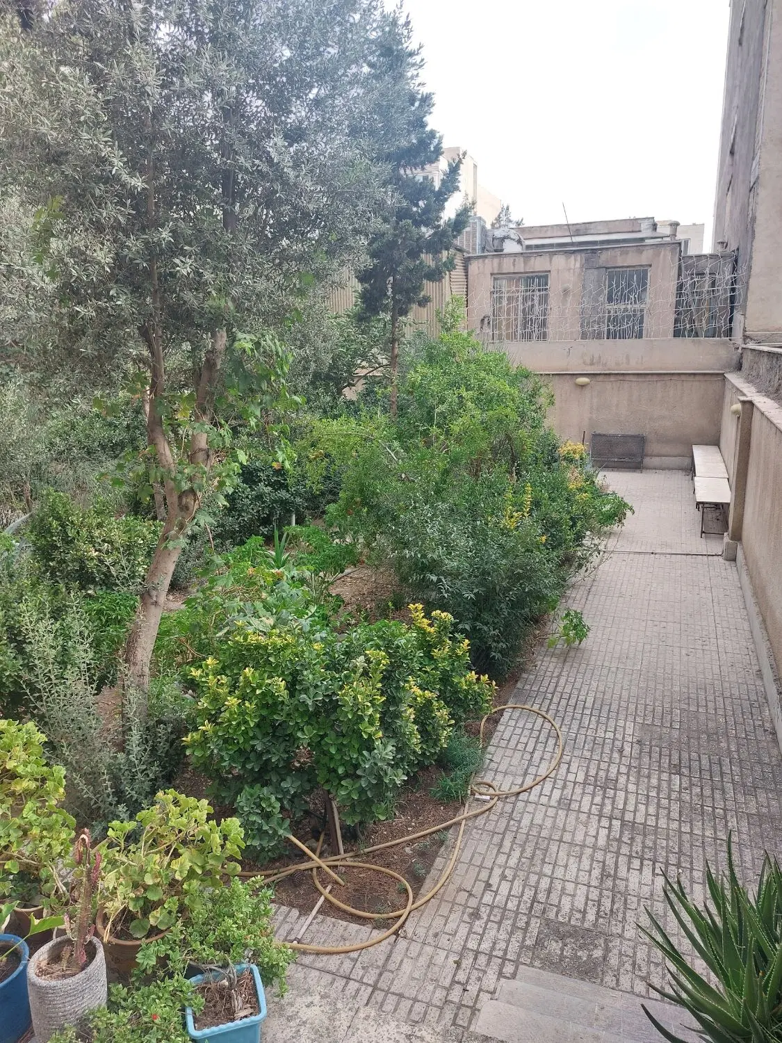 واحد ۶۵ متری شاخه اصلی (خ ۱۲شرقی قدیم)