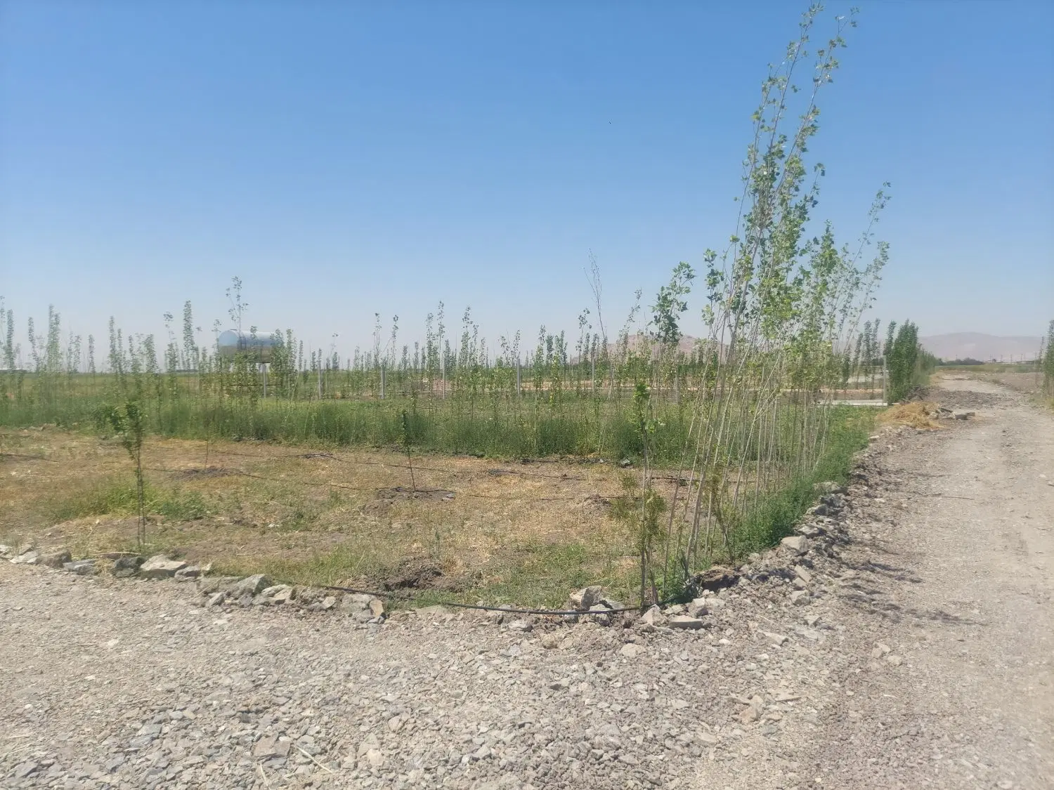 زمین کشاورزی