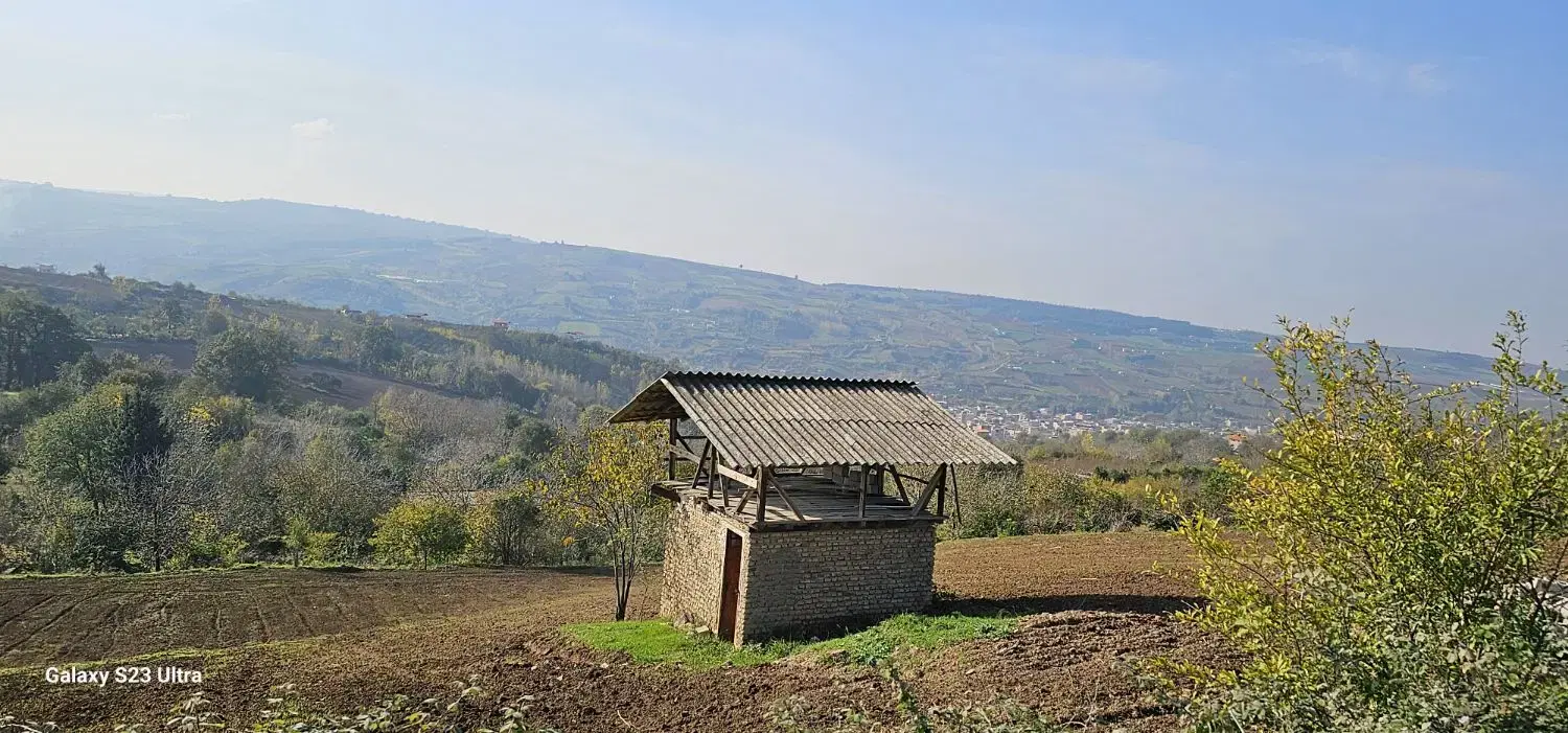 زمین کشاورزی