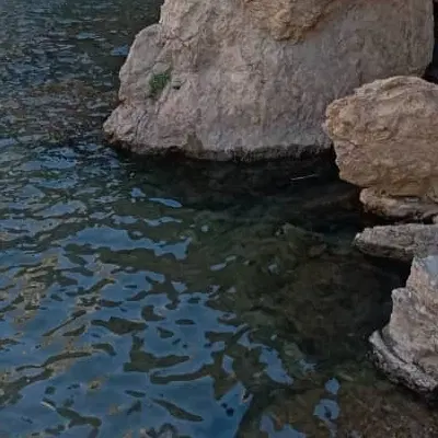 باغ شورین