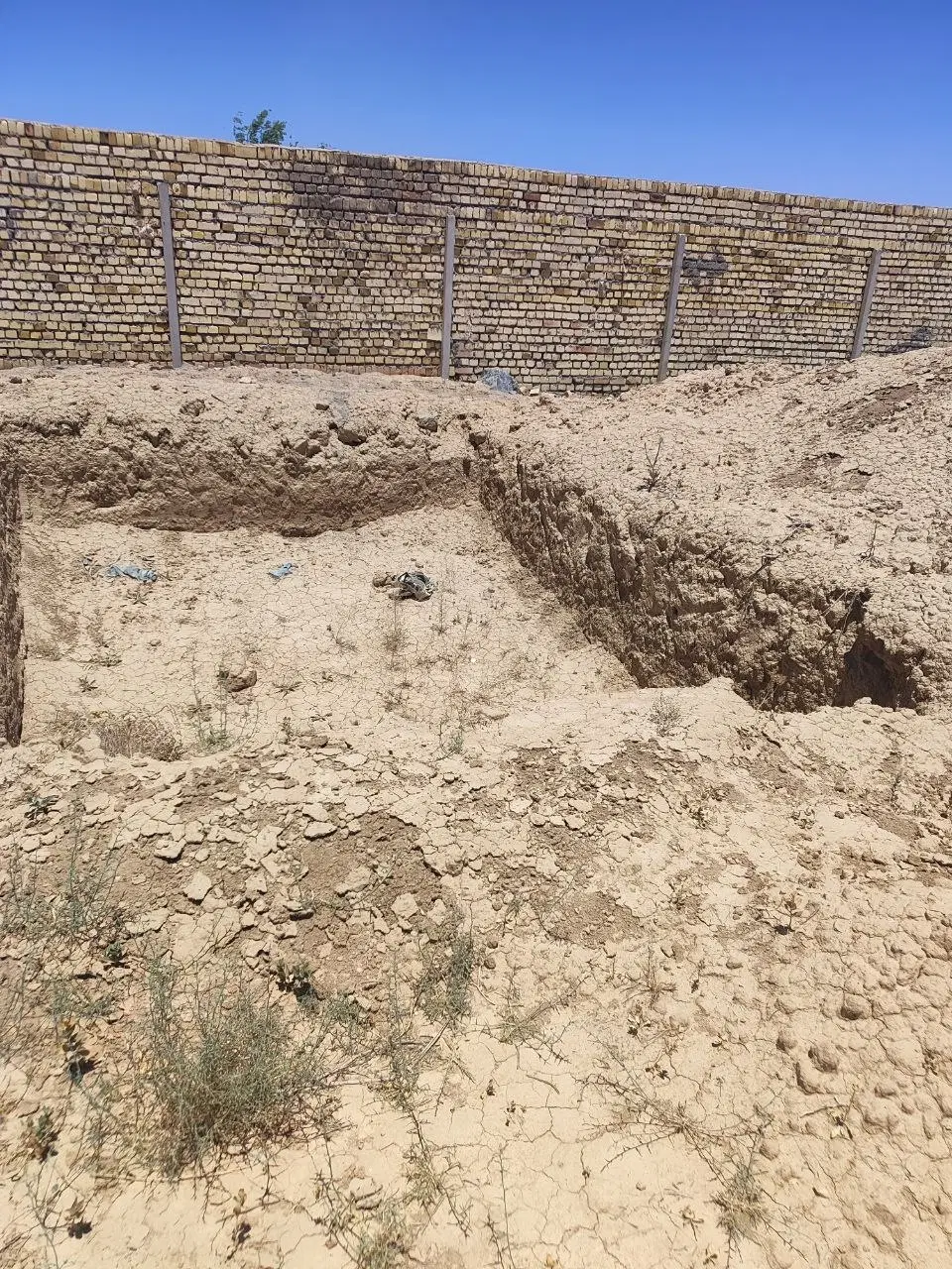 زمین باغی