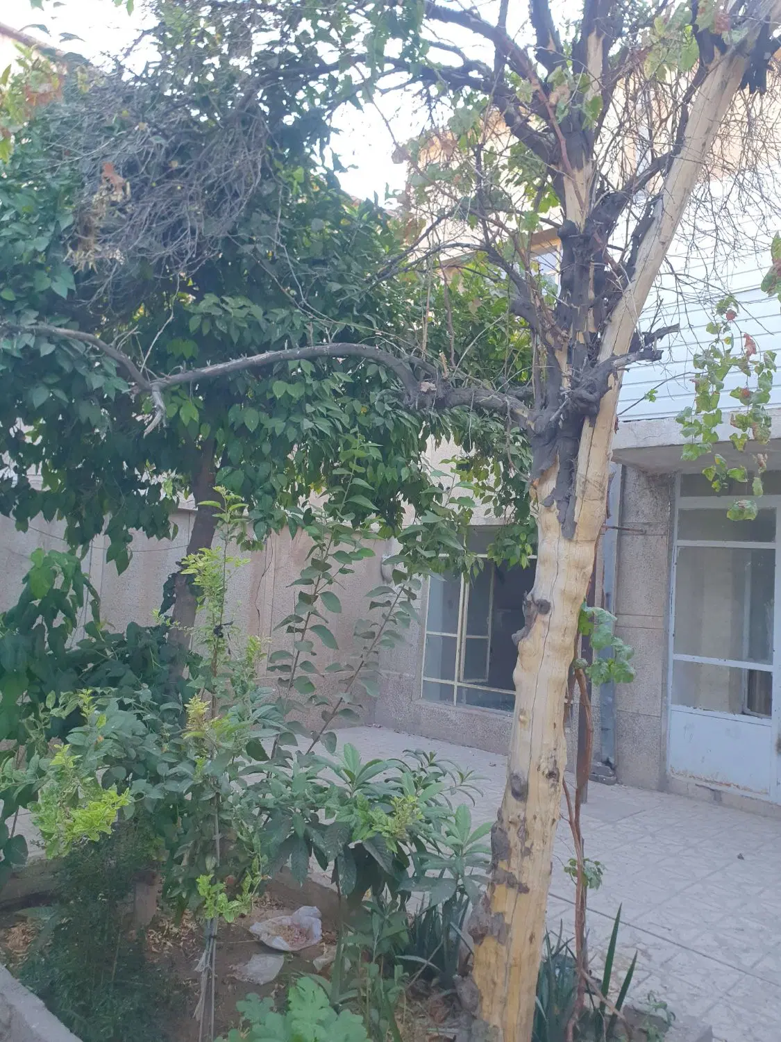 معاوضه خانه ۲ طبقه ۱۶۶ متر