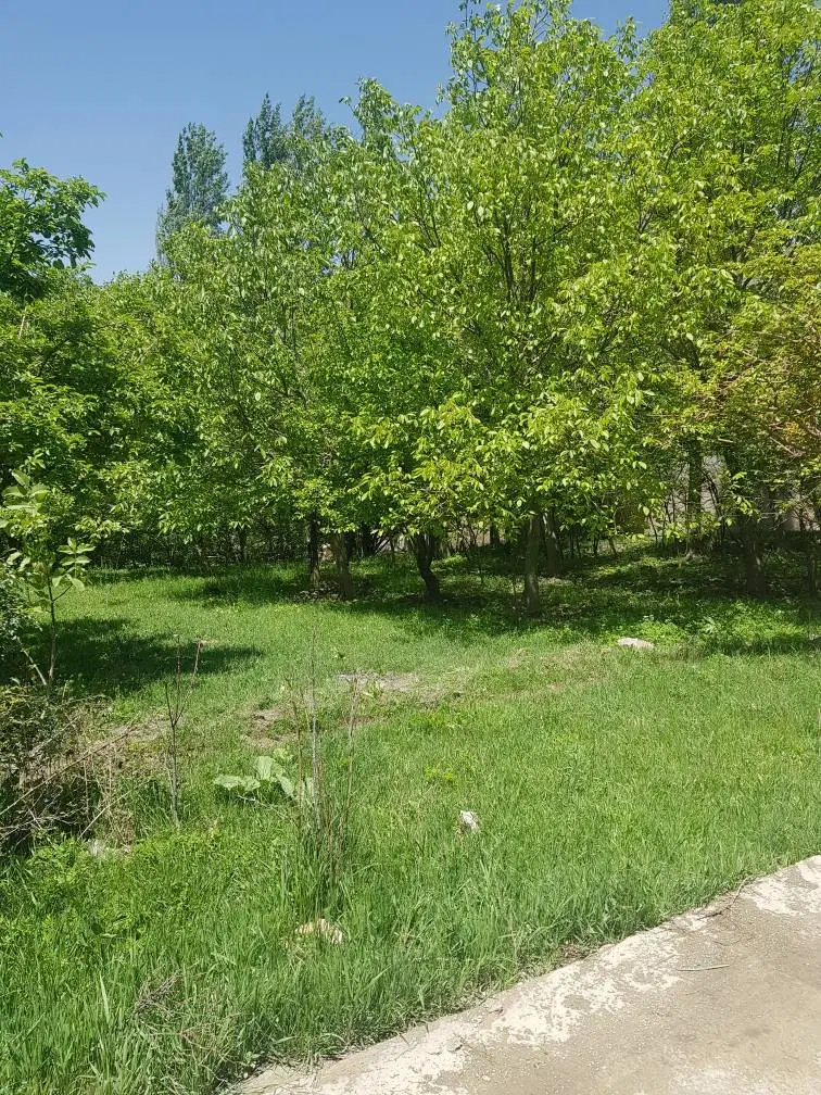 ۸۸۳ متر زمین لواسان بزرگ سند تک برگ