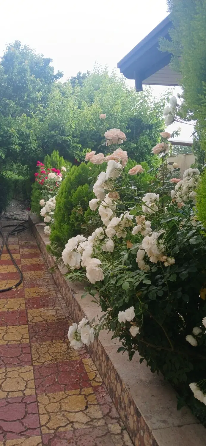 باغ در شهریار