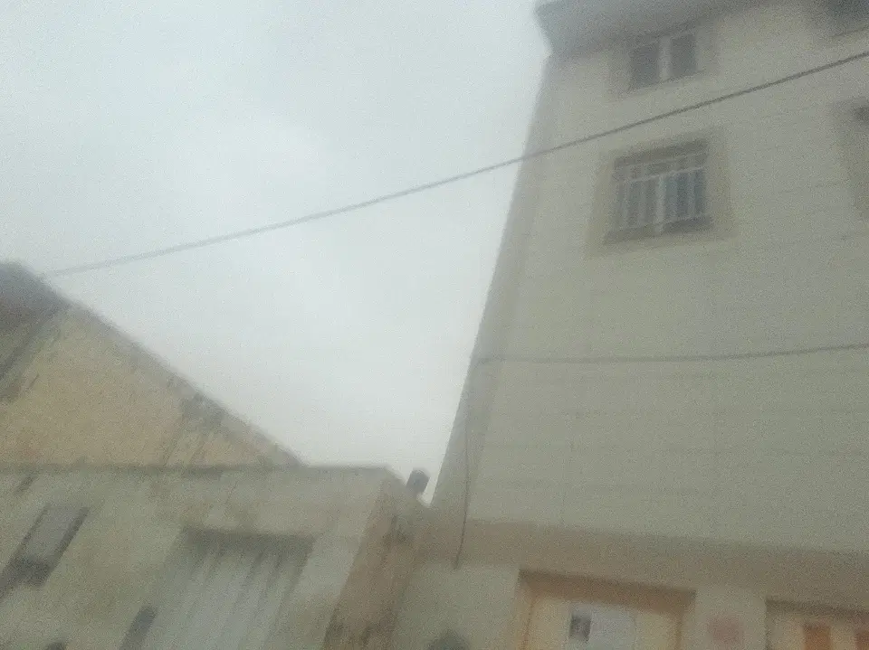 همخونه