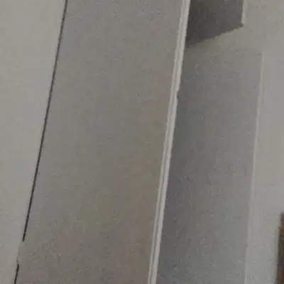 همخانه میشم آقا هستم