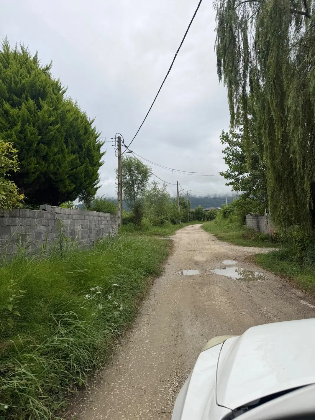 فروش ۲۰۰ متر زمین مسکونی چالوس