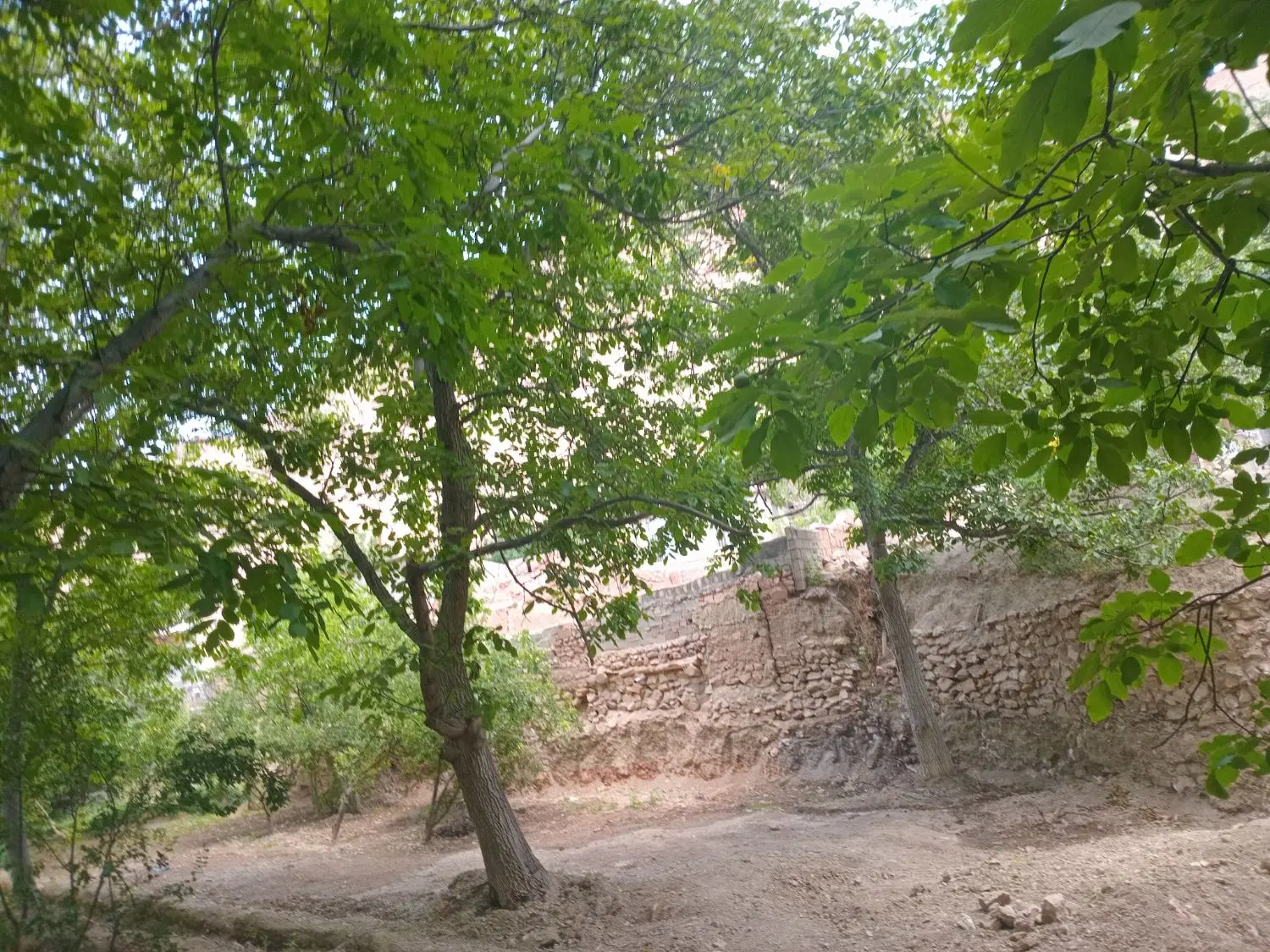 ۳۵۰ متر زمین داخل بافت در روستای حصاربن