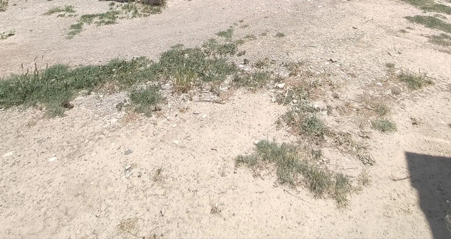 240متر زمین در روستای درشک داخل محدوده