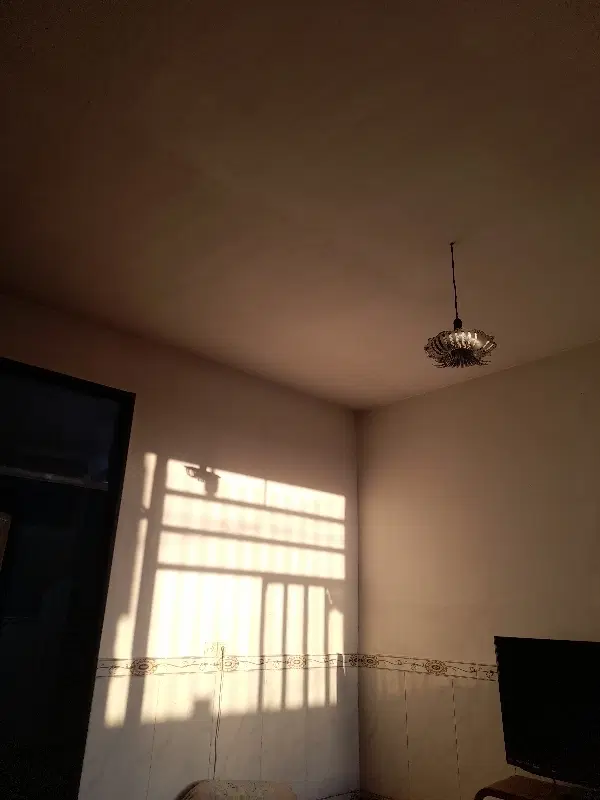 پیش فروش