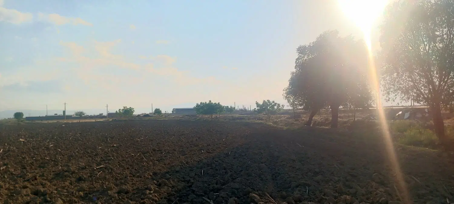 زمین در روستای صدقیان بر جاده