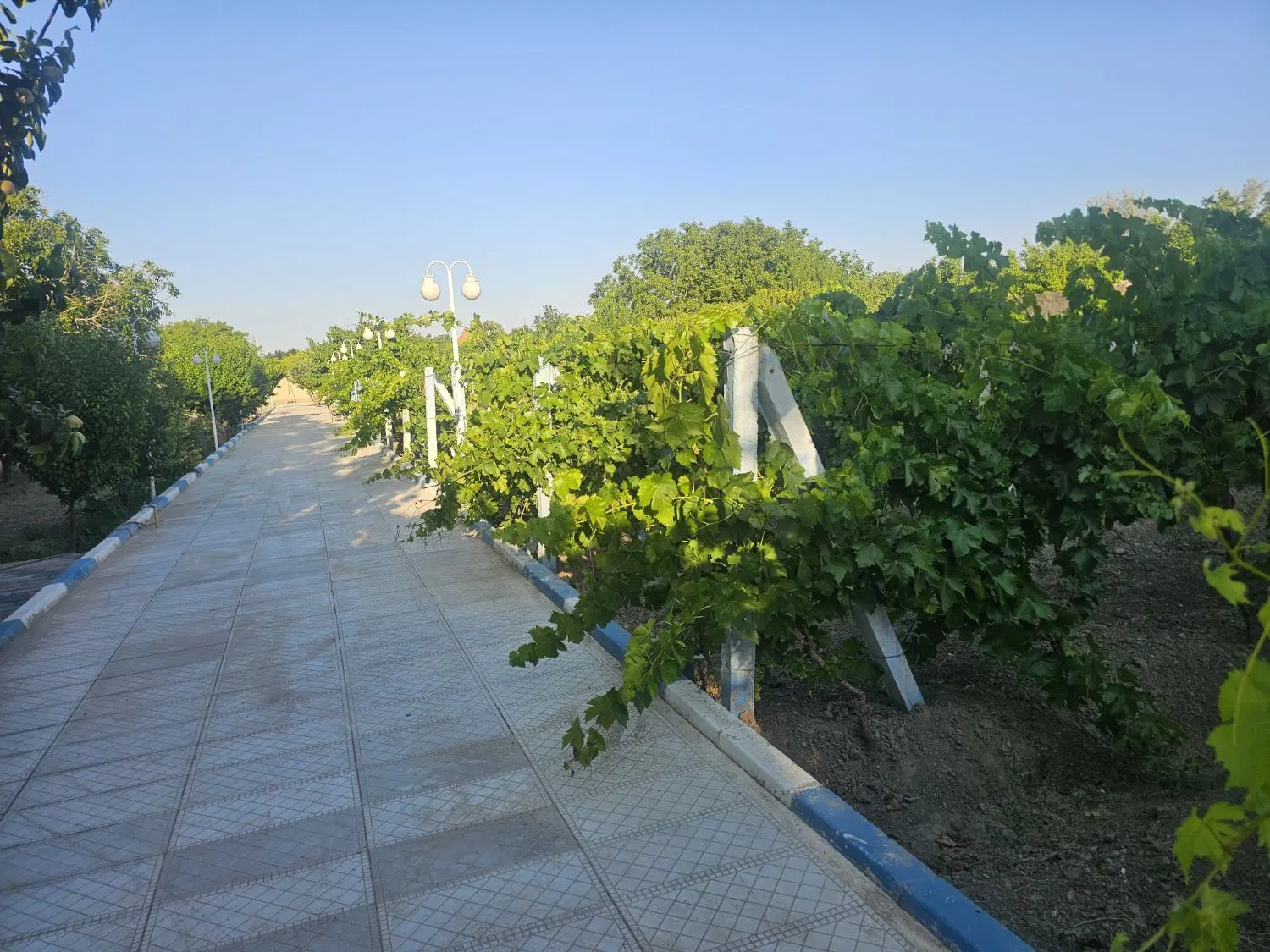 قطعه زمین امام زاده جهت ویلاسازی