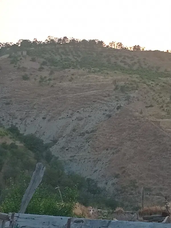 ۲۰۰۰‌متر‌زمین‌خالی